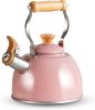 Tea Kettle, Tea Pot with Cool Touch Ergonomic Handle, Teapot Food Grade Stainless Steel, Tea Kettle Stovetop, Kettle Teapot, Whistling Tea Kettles